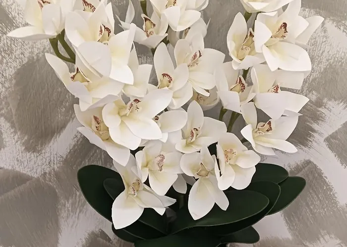 Sommacon House San Remo